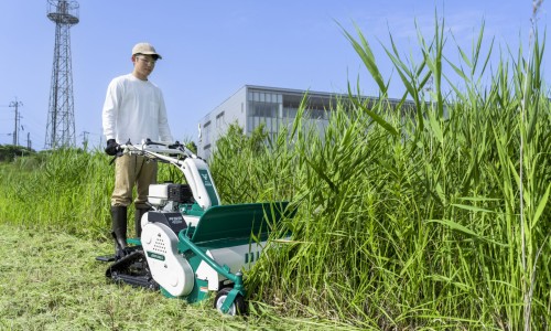 仙鹤草最忌三种药专区_仙鹤草服用禁忌是什么专区_仙鹤草服用禁忌网