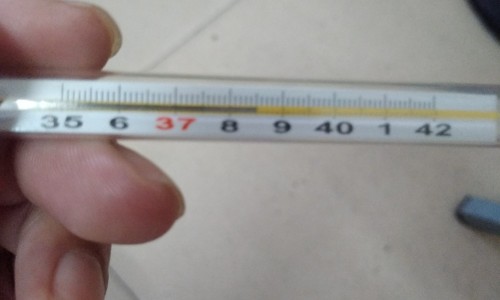 仙鹤草吃多久有效果-仙鹤草最忌三种药专区_仙鹤草服用禁忌是什么专区_仙鹤草服用禁忌网